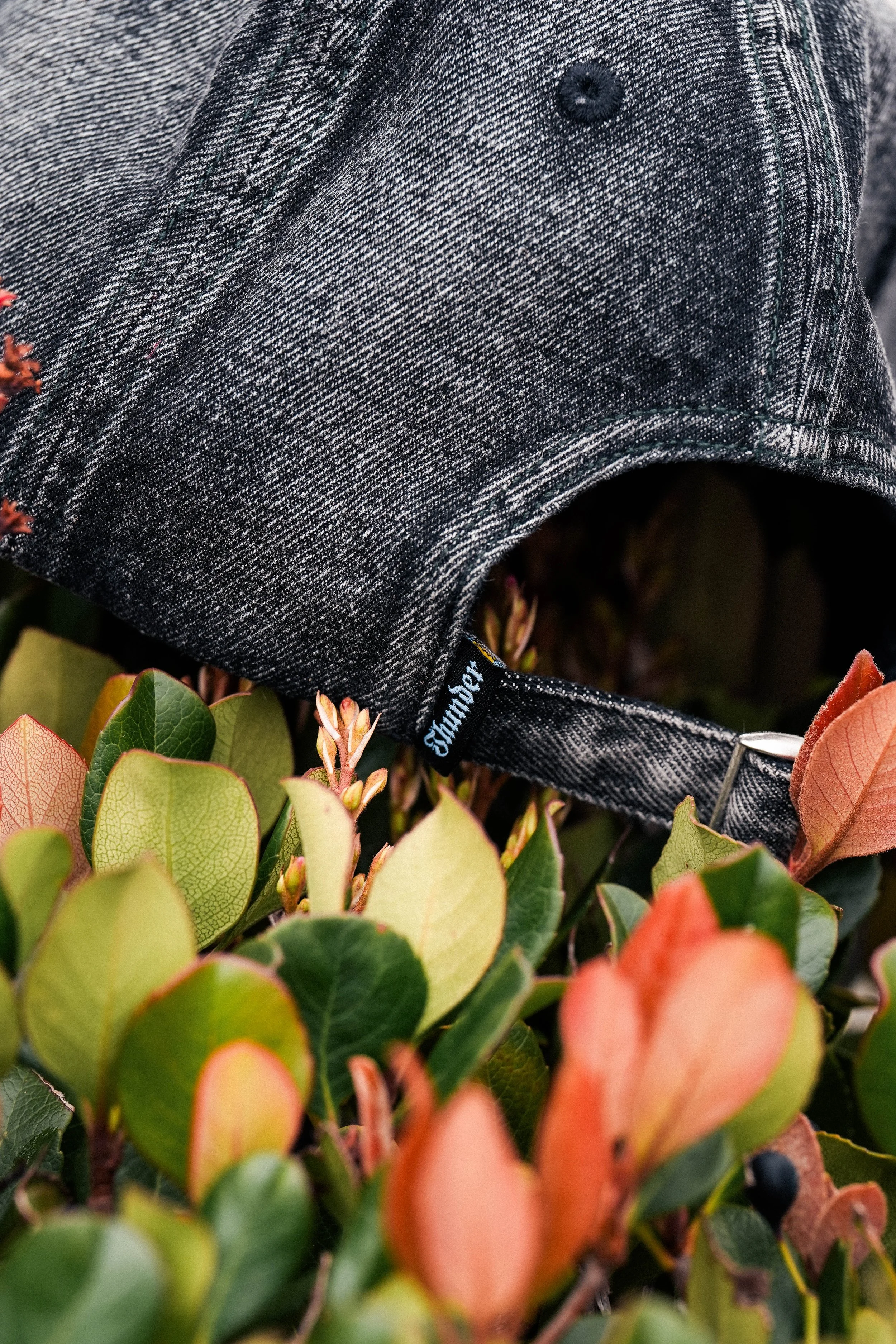 Thunder Trucks Lookbook_February 2026_Ballard-85.jpg