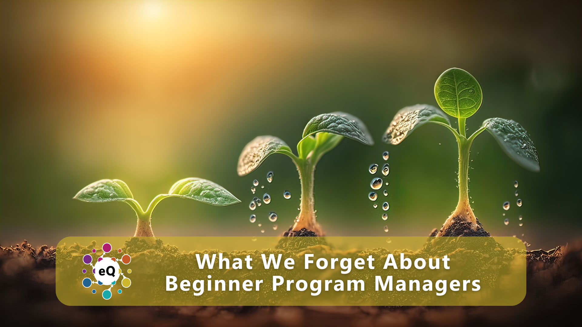 What We Forget About Beginner Program Managers