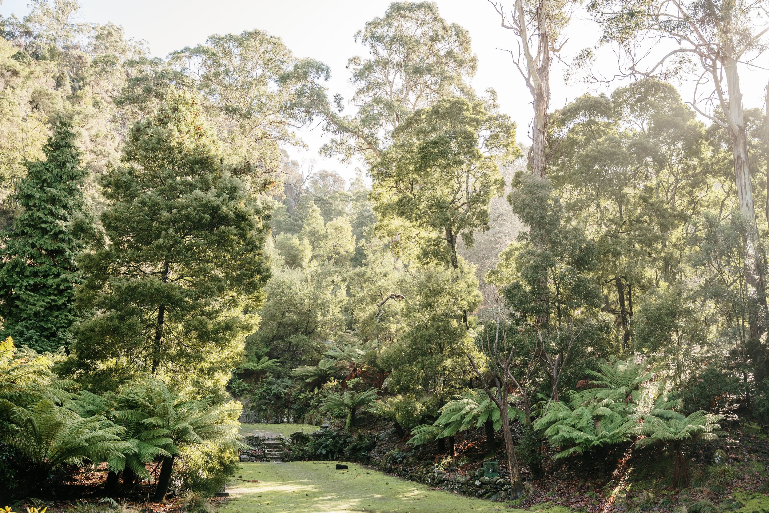 274890-cataract-gorge.jpg