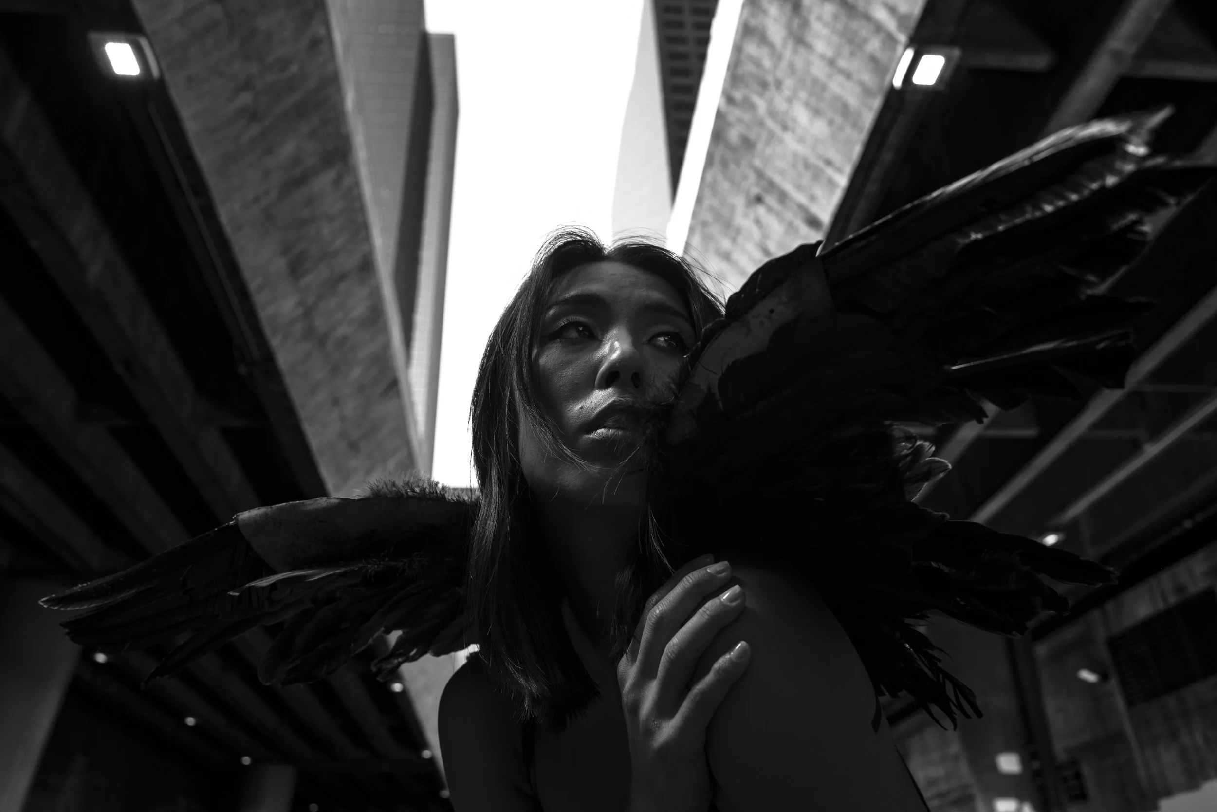 L1170619.jpg