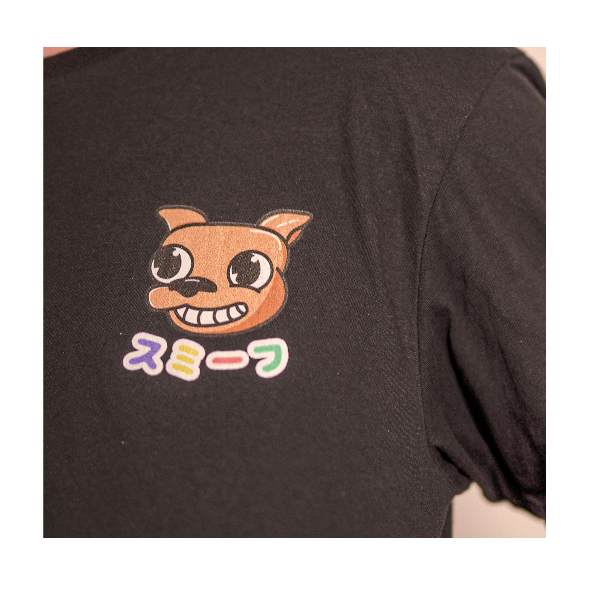 v2.png