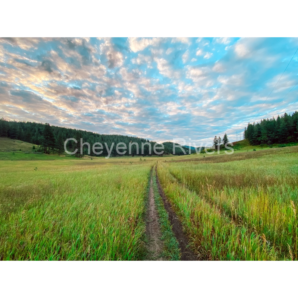 image_original_cd4ee7797ef845e0ebde7980c3f5bb23.png