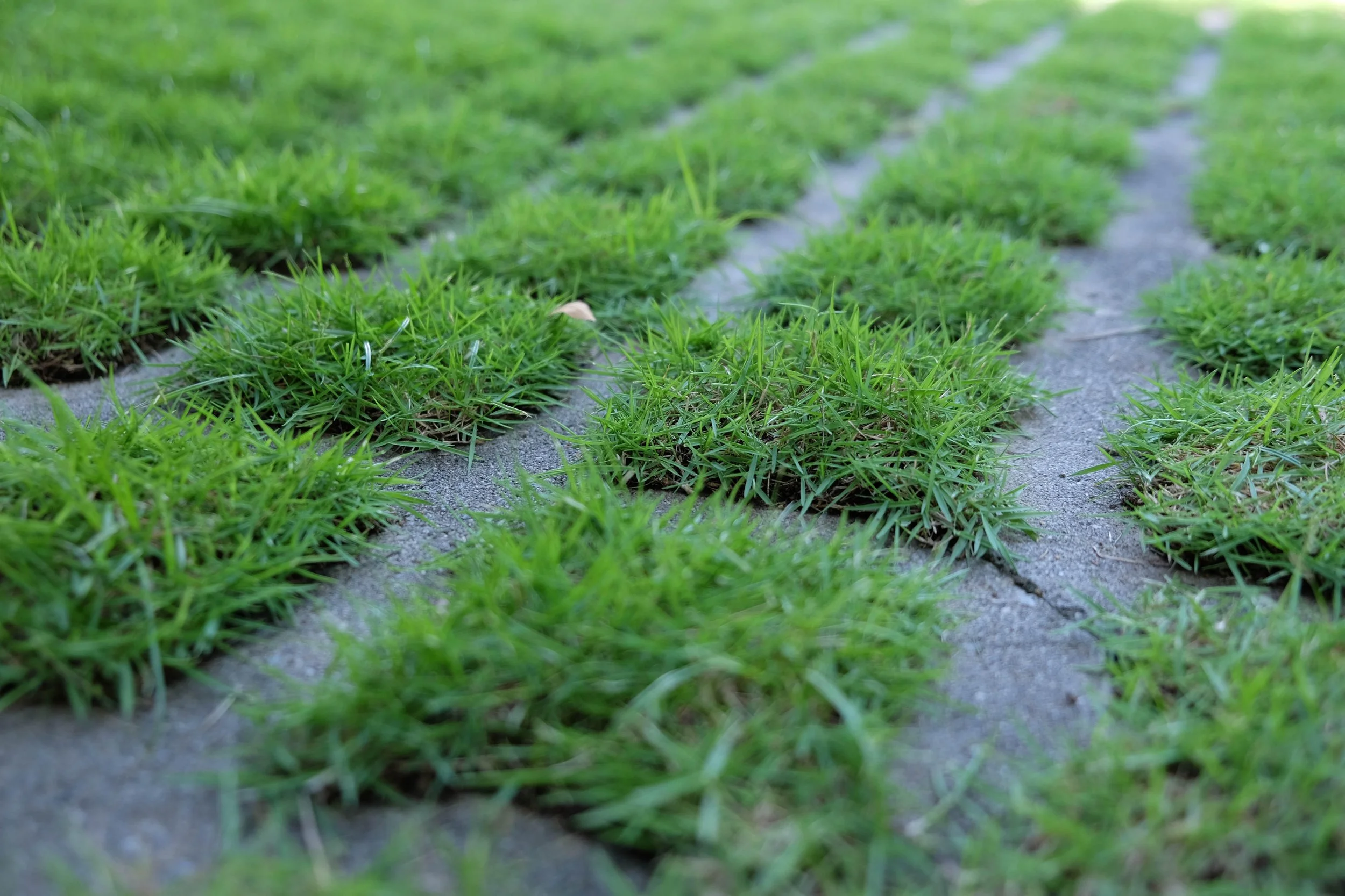 Products & Services — Kuma Concrete Inc.