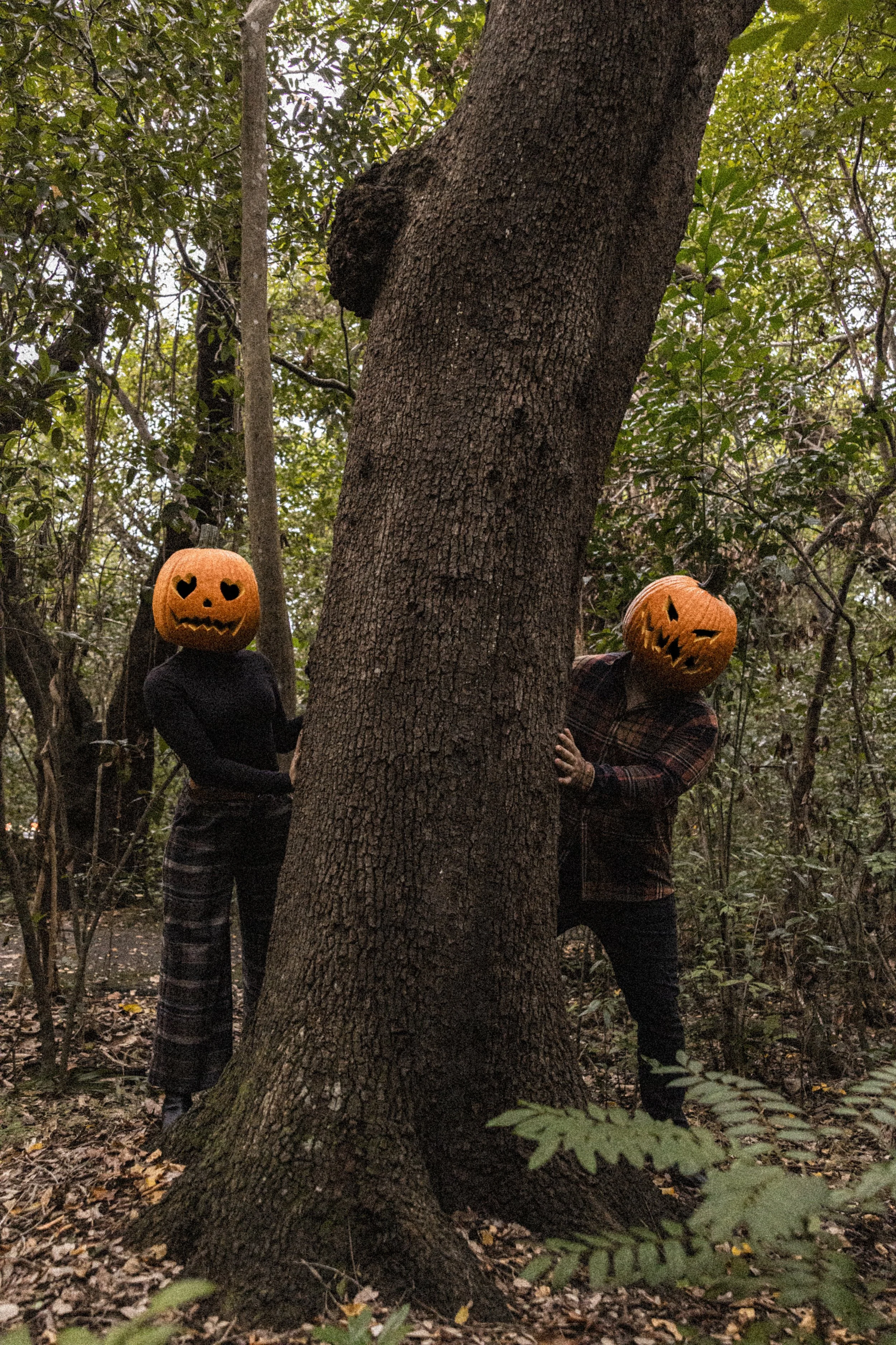 pumpkinshoot-10-No Watermark Export-2.jpg