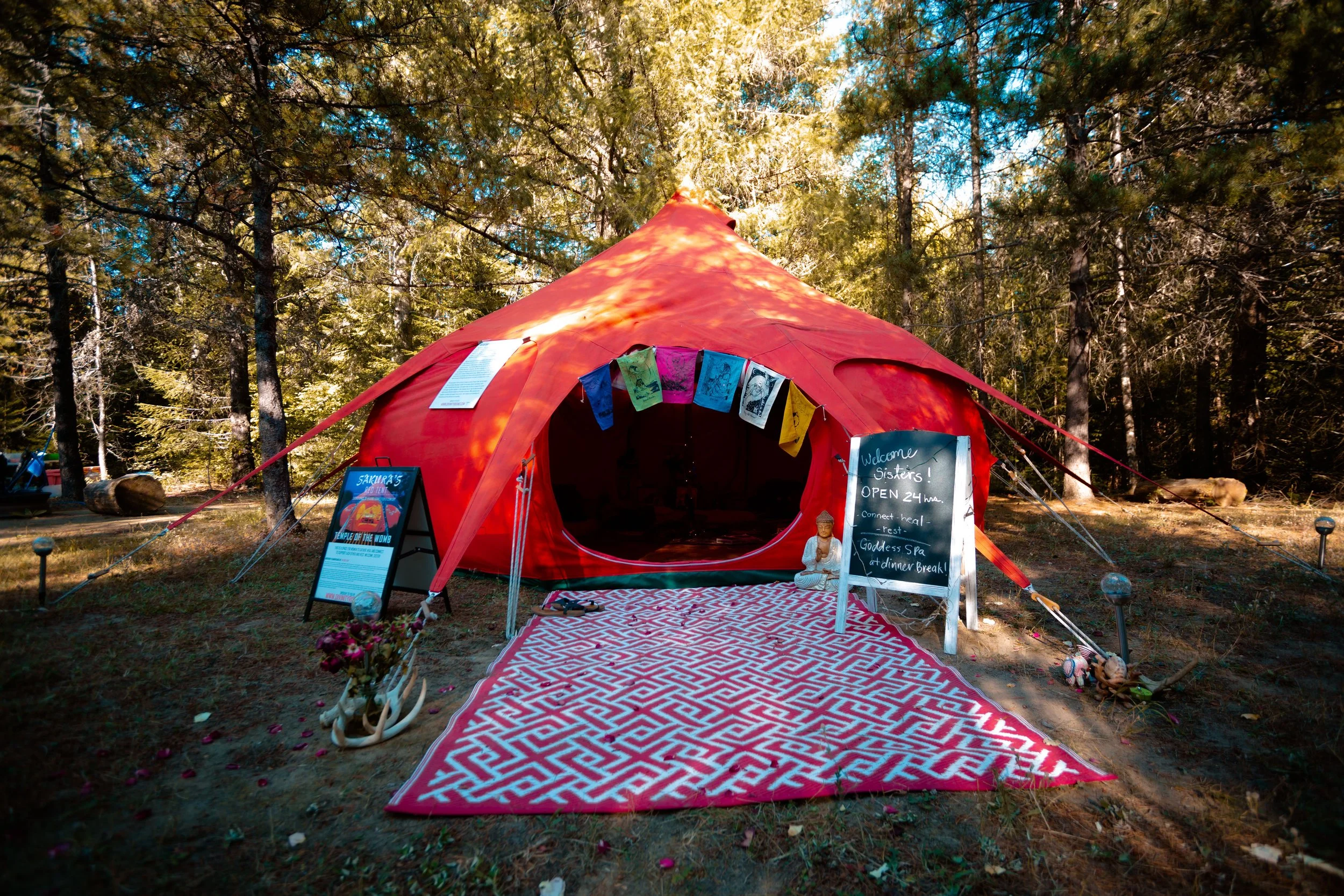 SheIsWildFest2022-254.jpg