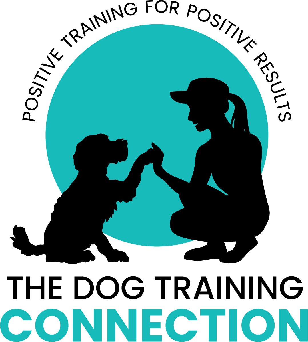Private Training — The Dog Training Connection