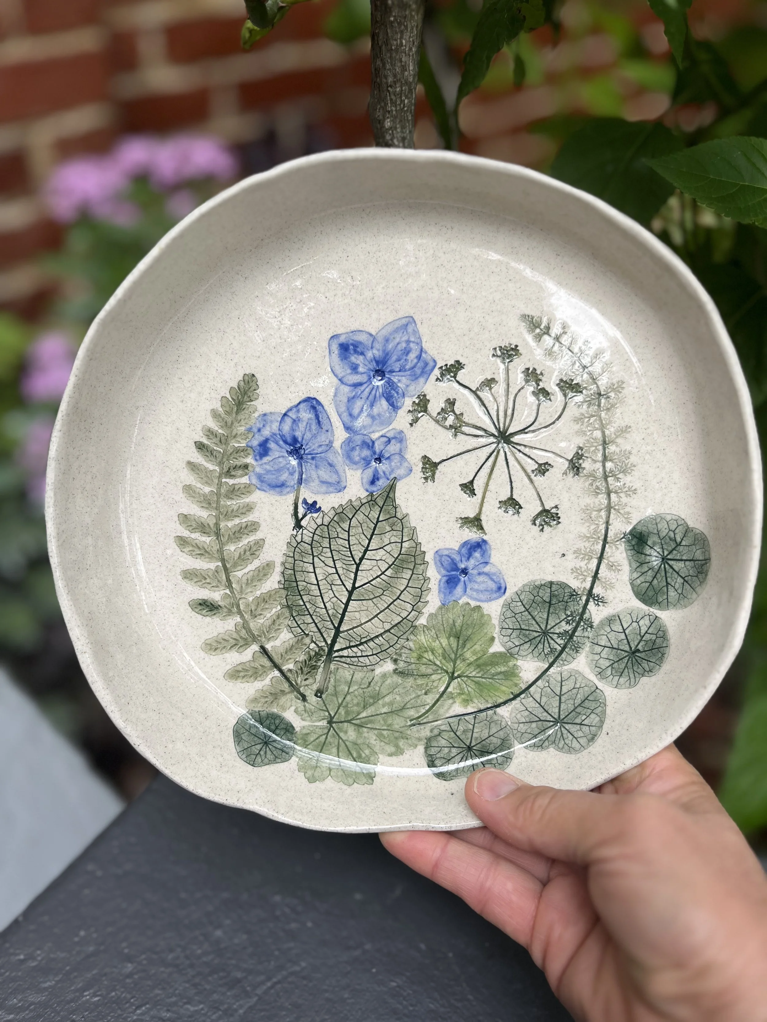 Hydrangea garden plate 2