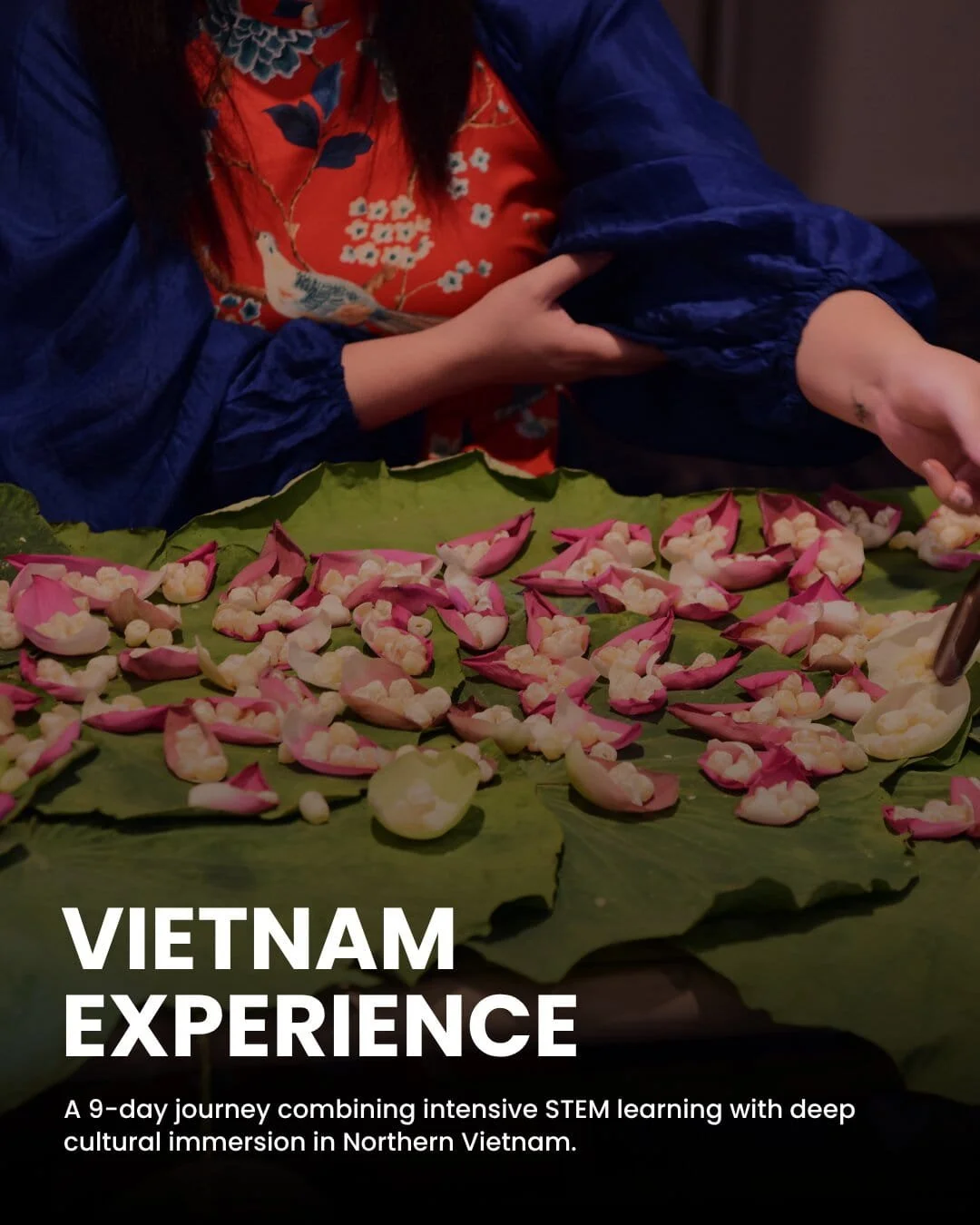 the Hanoi Cultural Discovery Wraparound