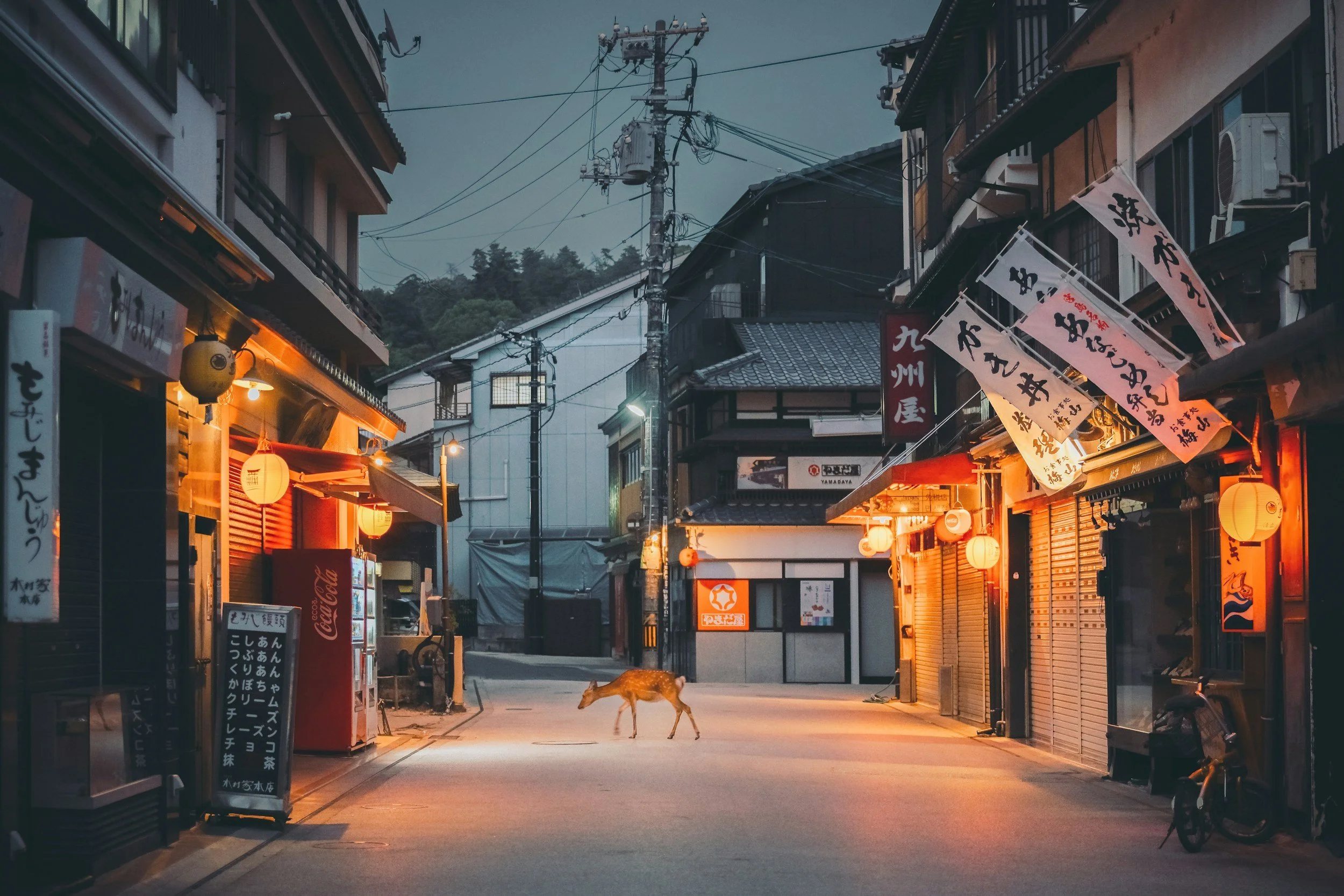 unsplash-image-q3PEk1iqhec.jpg