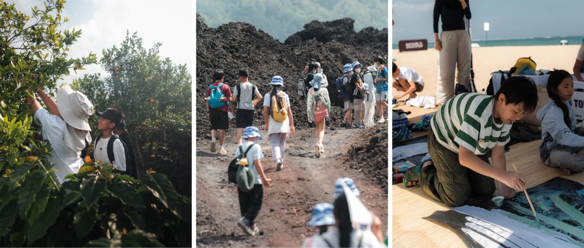 Batur UNESCO Global Geopark