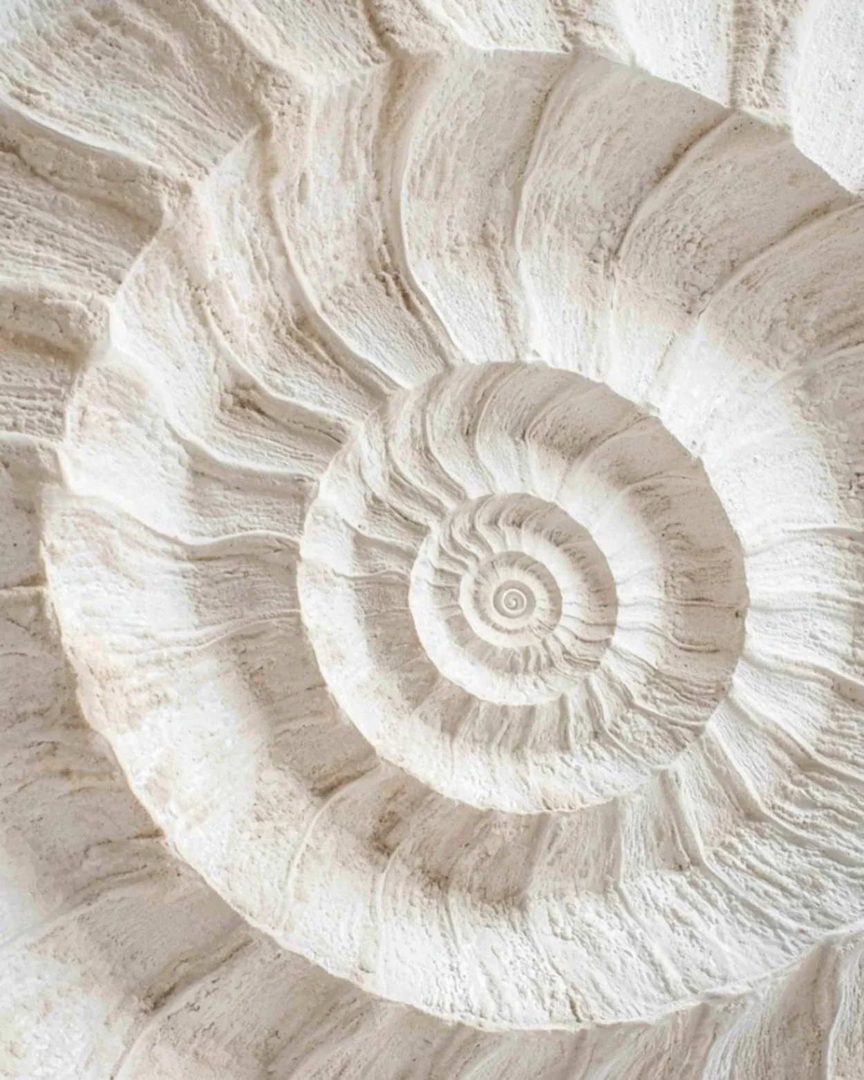 Our books are starting to fill up for the start of 2025! 

Please ensure you send any urgent referrals through to our email: admin@themillennialpsych.com and our team will assist you 🌿

#portmacquarie #nsw #mentalhealth #psychology #portmacquariepsy