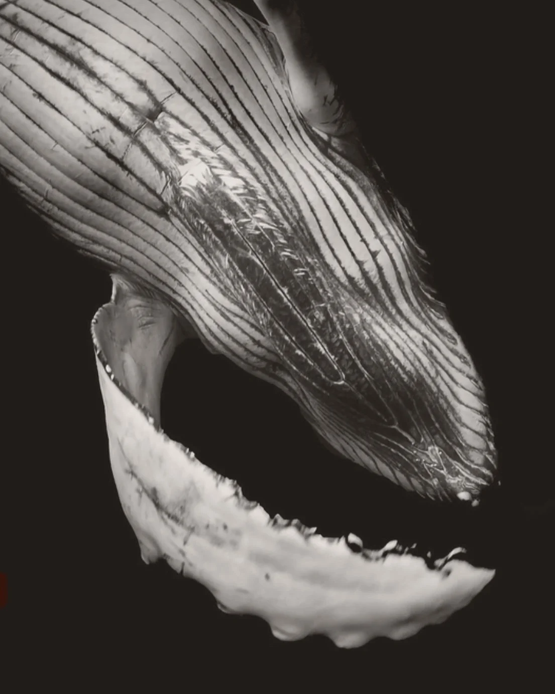 A GENTLE CHECK-IN✨

I hope you're taking it moment by moment
loving
listening
learning
finding strength in softness
turning toward the sun and bathing in the moon washing off the war in your mind
slowly creating and growing surrendering in stillness
