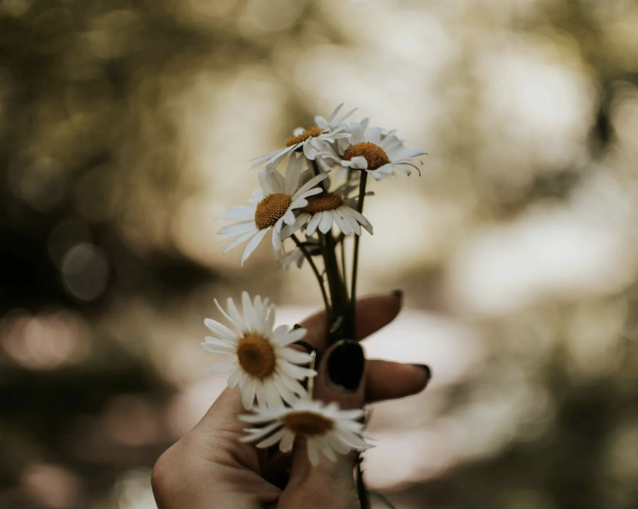 WHEN MOTHERHOOD IS INTERRUPTED: MATRESCENCE AFTER PREGNANCY LOSS