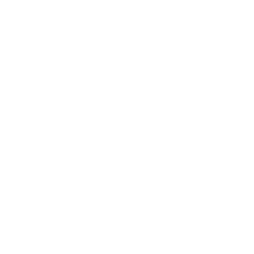 SBS.png