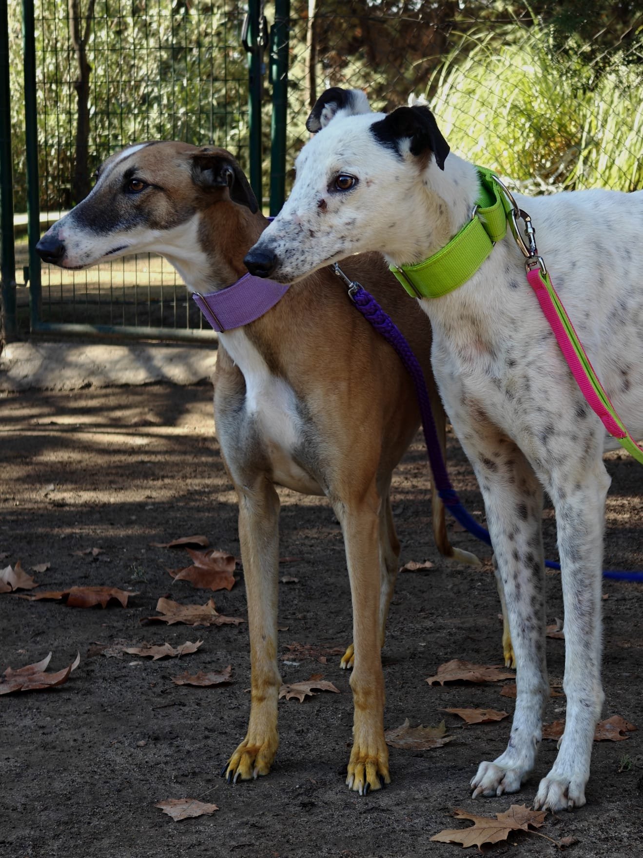 PHOTO-2025-12-22-13-30-40 2.jpg