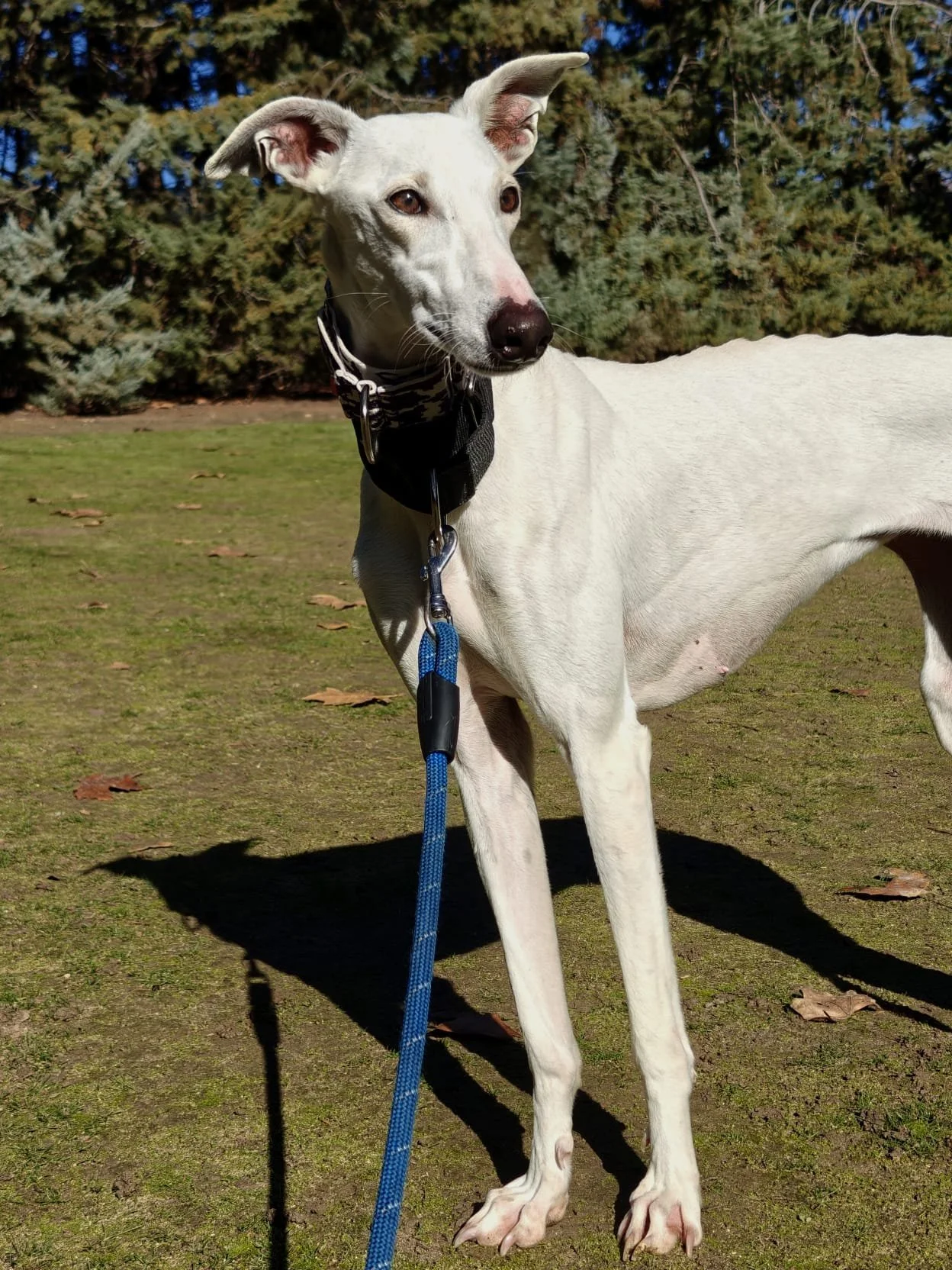 PHOTO-2025-12-22-13-30-40 3.jpg