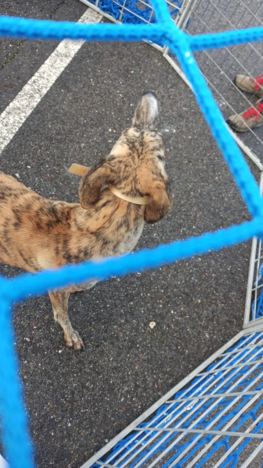 PHOTO-2025-12-22-14-07-39 2.jpg