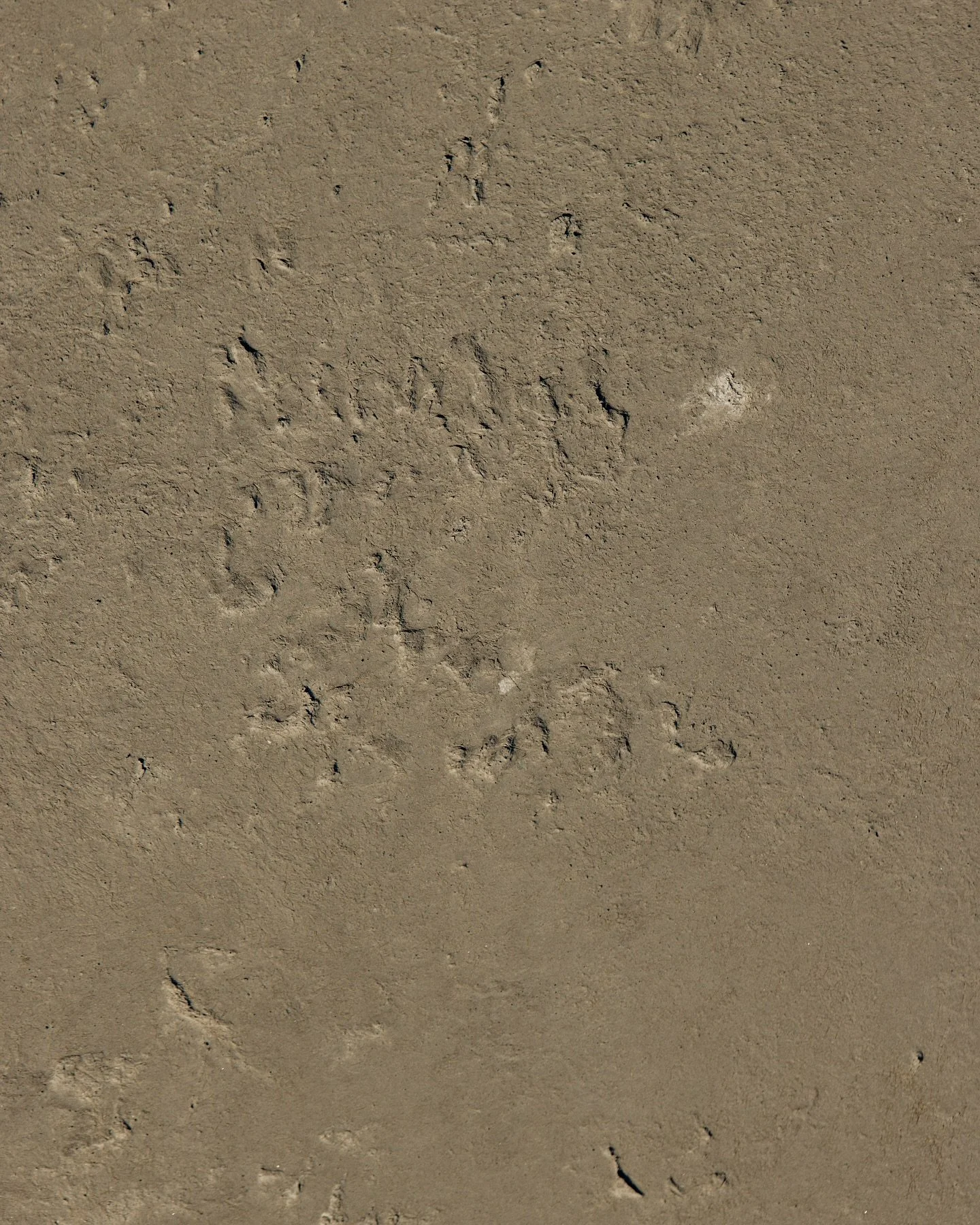 Showcasing the beauty in the imperfections of the raw earthy texture, our Venetian plaster finish is crafted from natural lime and marble. Subtle tonal variations and organic movement emphasise authenticity and durability for a beautiful outcome. 

#