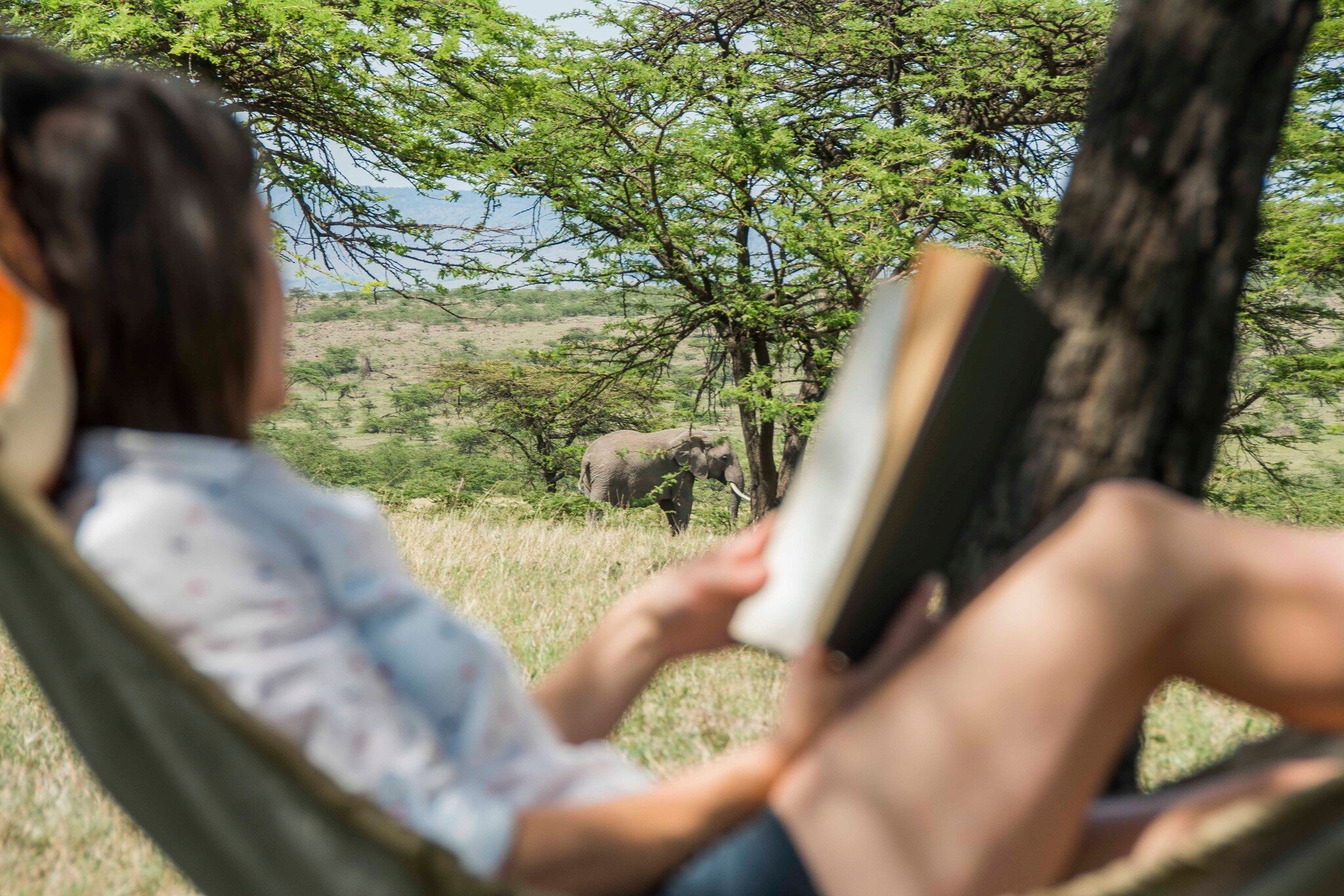 Surrounded by peace, quiet &amp; mother nature! 

__________________
www.kandilicamp.com
__________________

#kandili #camp #mara #maasi #safari #safaridreaming #peace #quiet #outdoors #nature #nature_lovers #wildlife #wilderness #mediate #mindful #e