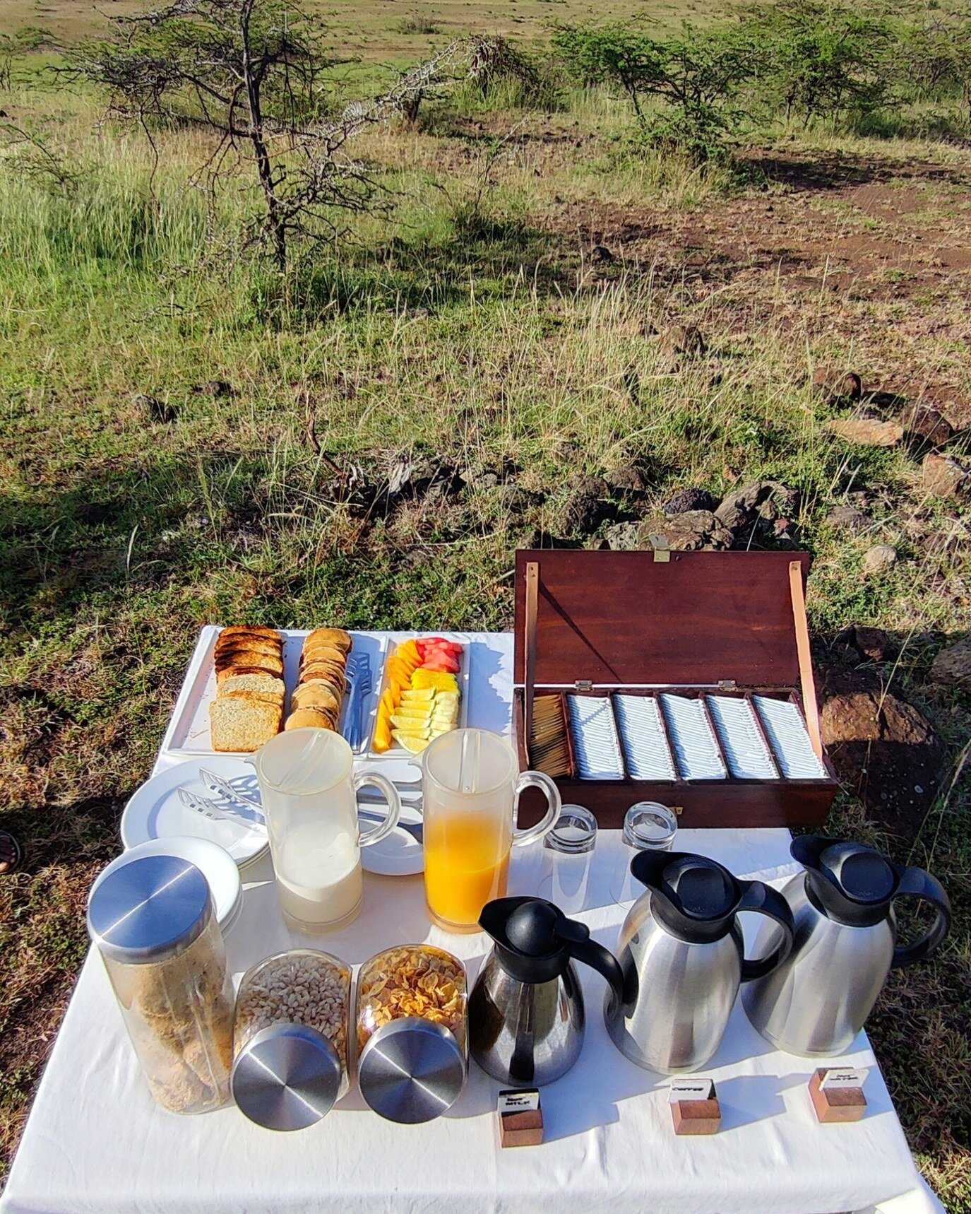 Delicious bush breakfast in the conservancy after an early morning game drive!

📸 @dev_arora 

__________________
www.kandilicamp.com
__________________
 
#safari #safaridreaming #alfresco #bucketlist #delicious #breakfast #maasai #mara #picnic #fre