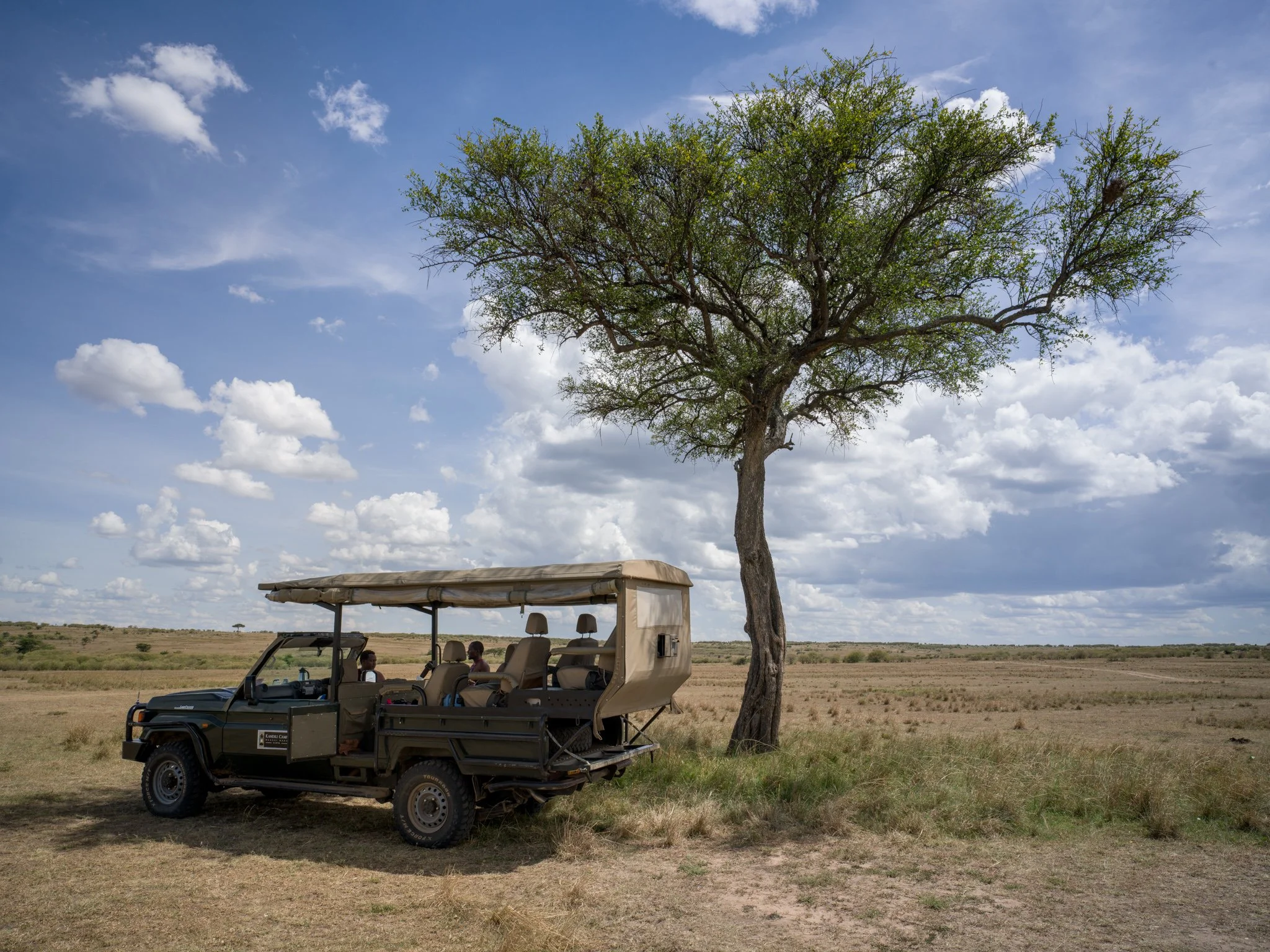 Maasai Mara - Game drive vehicle 