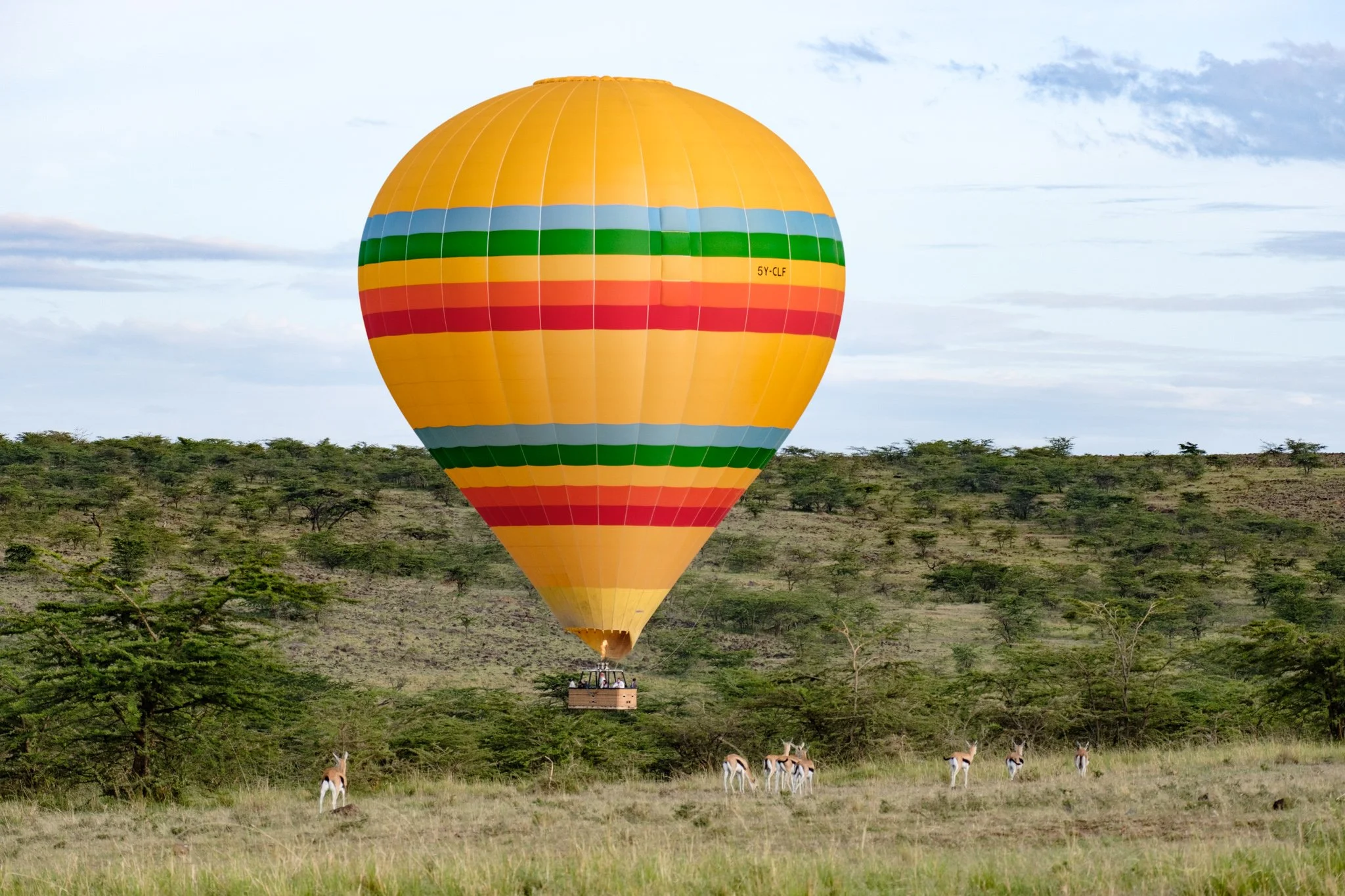 Maasai Mara - Hot air balloon experience 