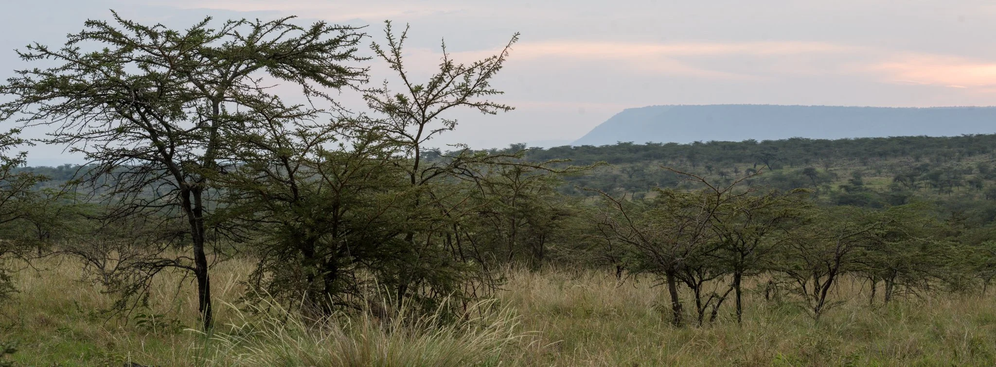 Camp life - Wilderness setting 