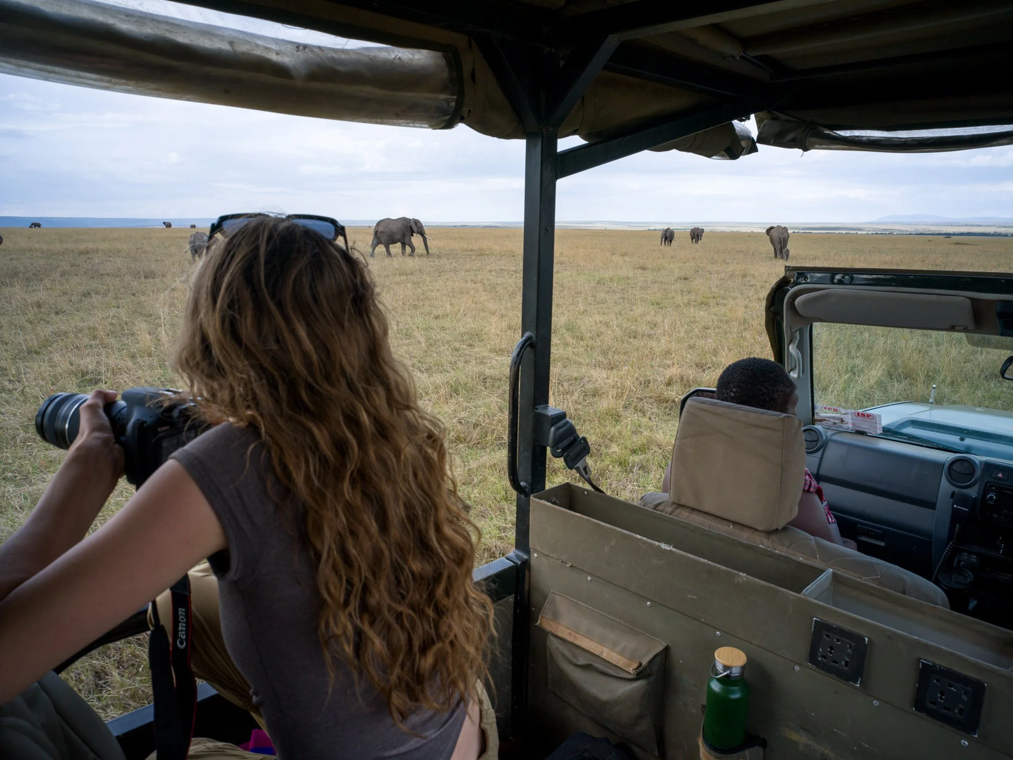 Maasai Mara - Game drive photography 