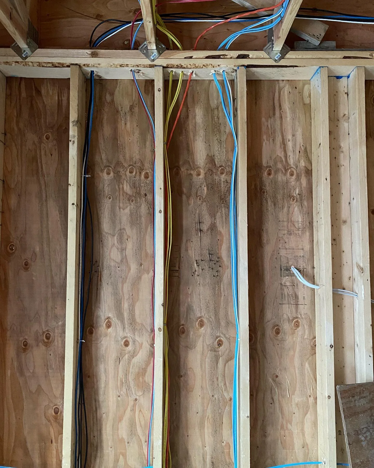 Unfinished interior wall framing with electrical cables running vertically through vertical studs, including black, blue, red, and yellow wires.