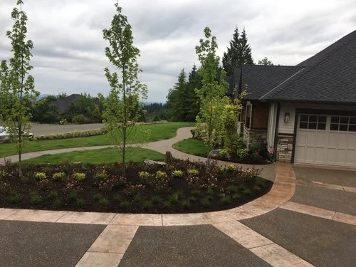 A well-maintained front yard with a curved driveway, new trees, and landscaped flower beds, next to a house with a garage, under cloudy skies.