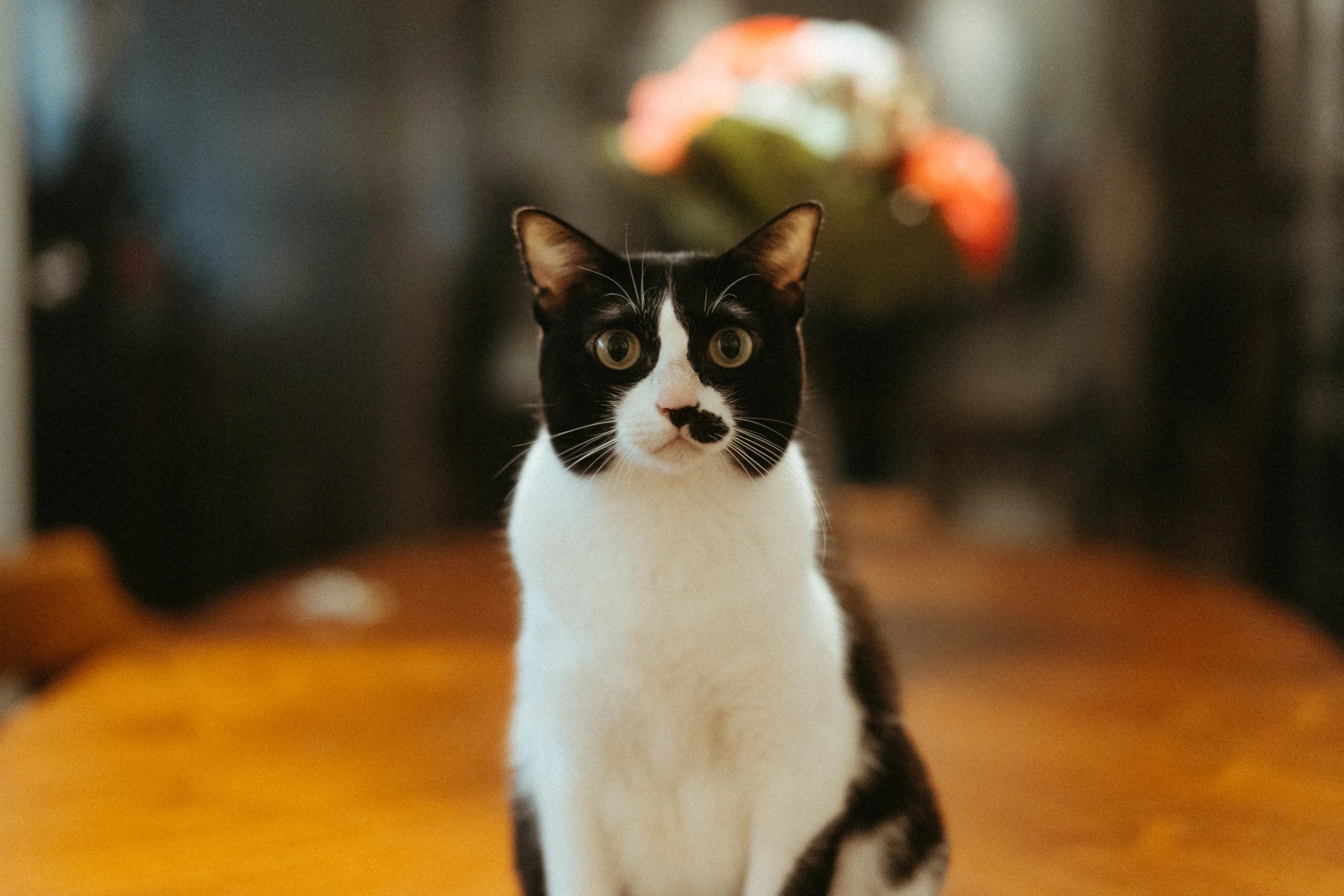 Kim and Chris Pre Wedding -002.jpg