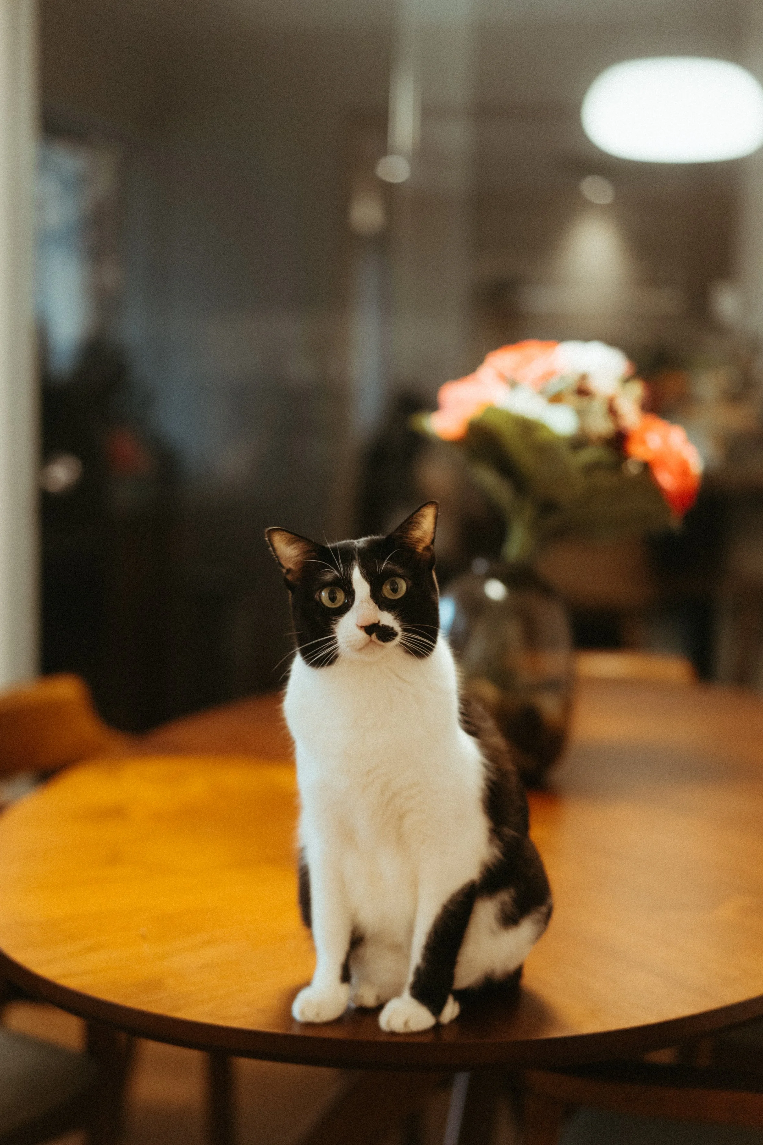 Kim and Chris Pre Wedding -001.jpg