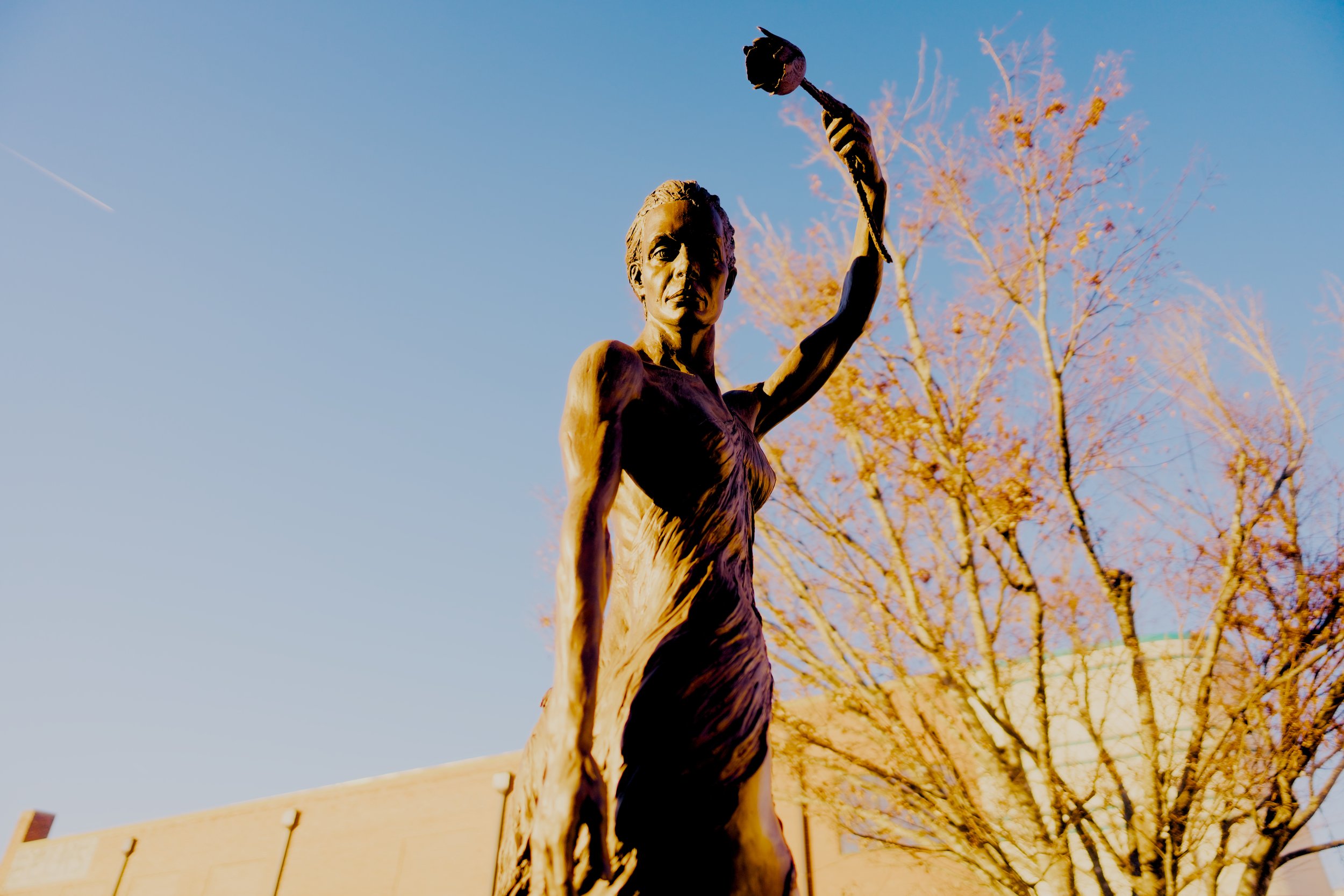 photo of a statue taken in downtown Monroe NC by Charlotte Content Marketing Founder Andrew Rusnak