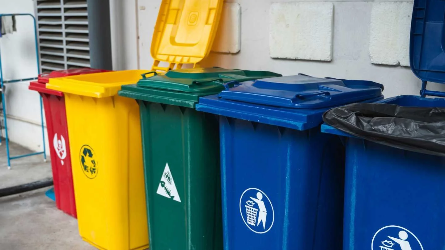 red, yellow, green, and blue plastic trash bins