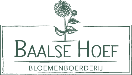 De Baalse Hoef