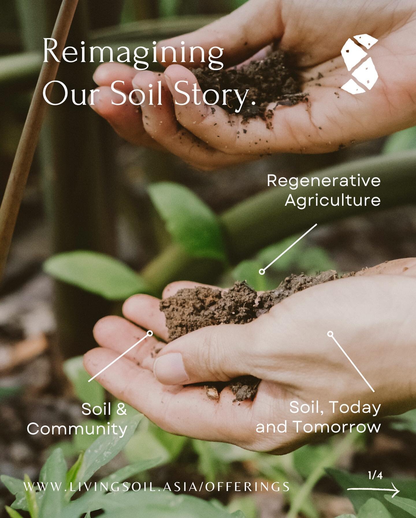 We have been told that Singapore has limited land and that our food future depends on agritech and not soil. 

What happens if we collectively embrace soil regeneration and adopt practices to heal and nourish our soils?

How does this in turn help us