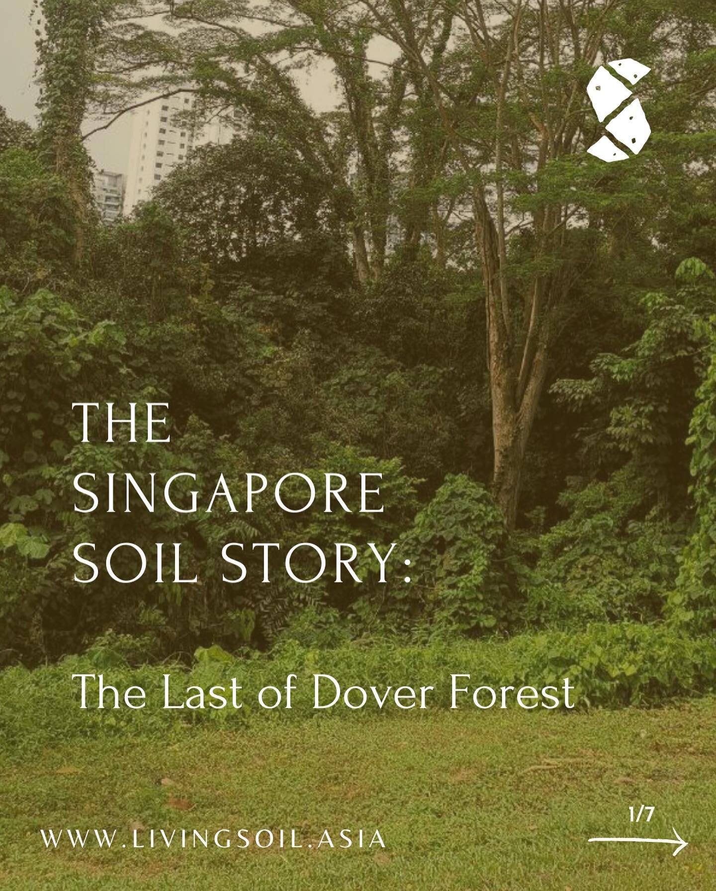 When you think of stories of our land here in Singapore, what comes to mind?

In our series The Singapore Soil Story, we begin to unearth the stories of the worlds beneath our feet through the lens of the soil regenerators&hellip;

And that includes&