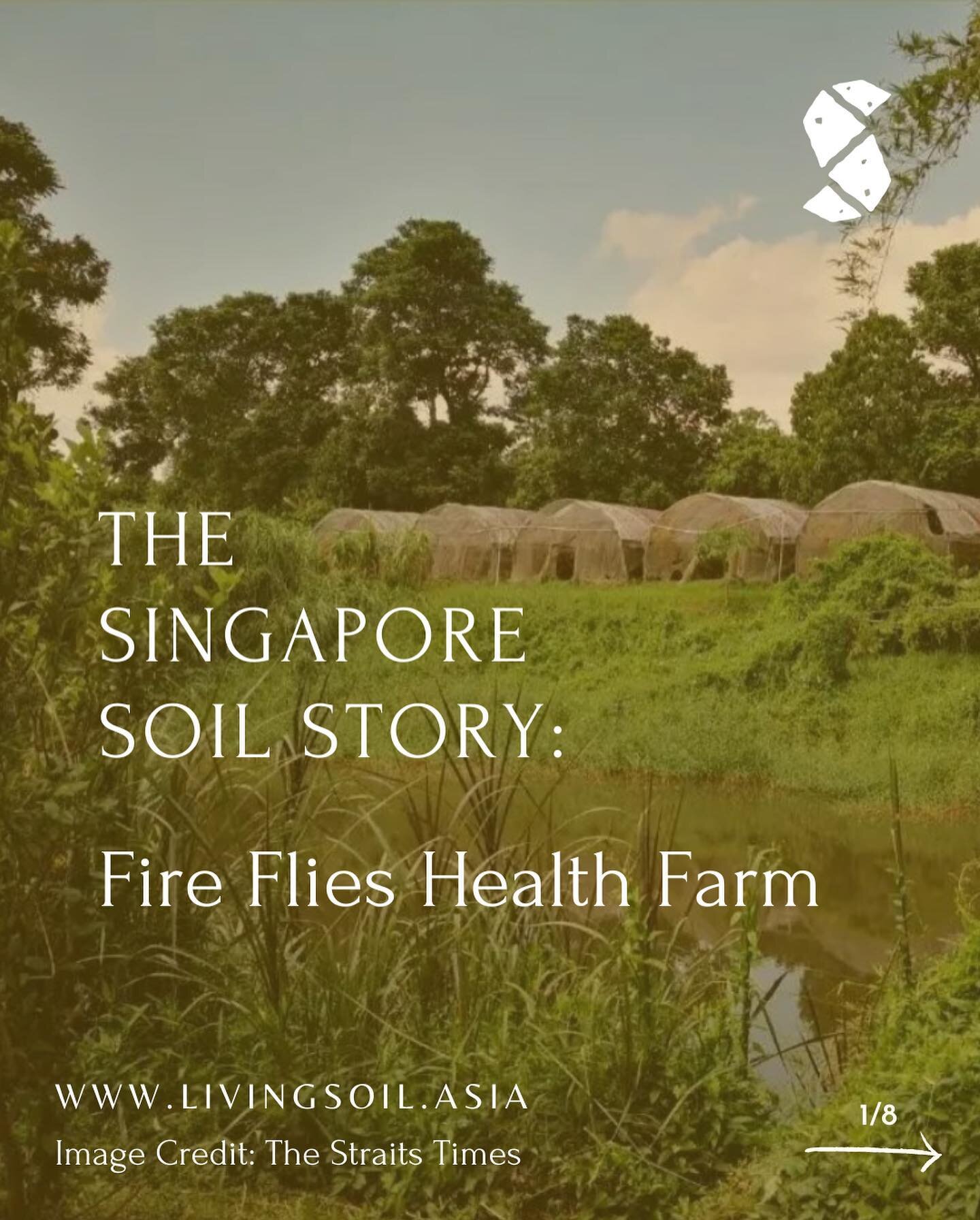 Fire Flies Health Farm was one of the few soil-based farms in Singapore that used organic farming practices of growing their vegetables and herbs for sale, with their produce also going into the making of their popular thunder tea rice! 🌿

Unfortuna