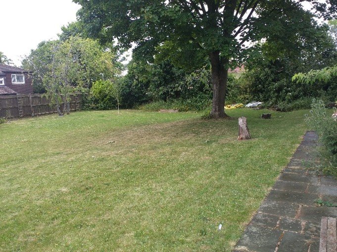 The garden initially (1)