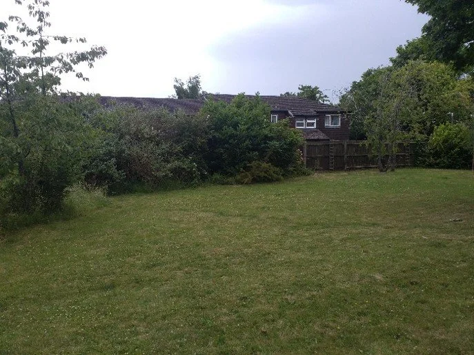 The garden initially (2)