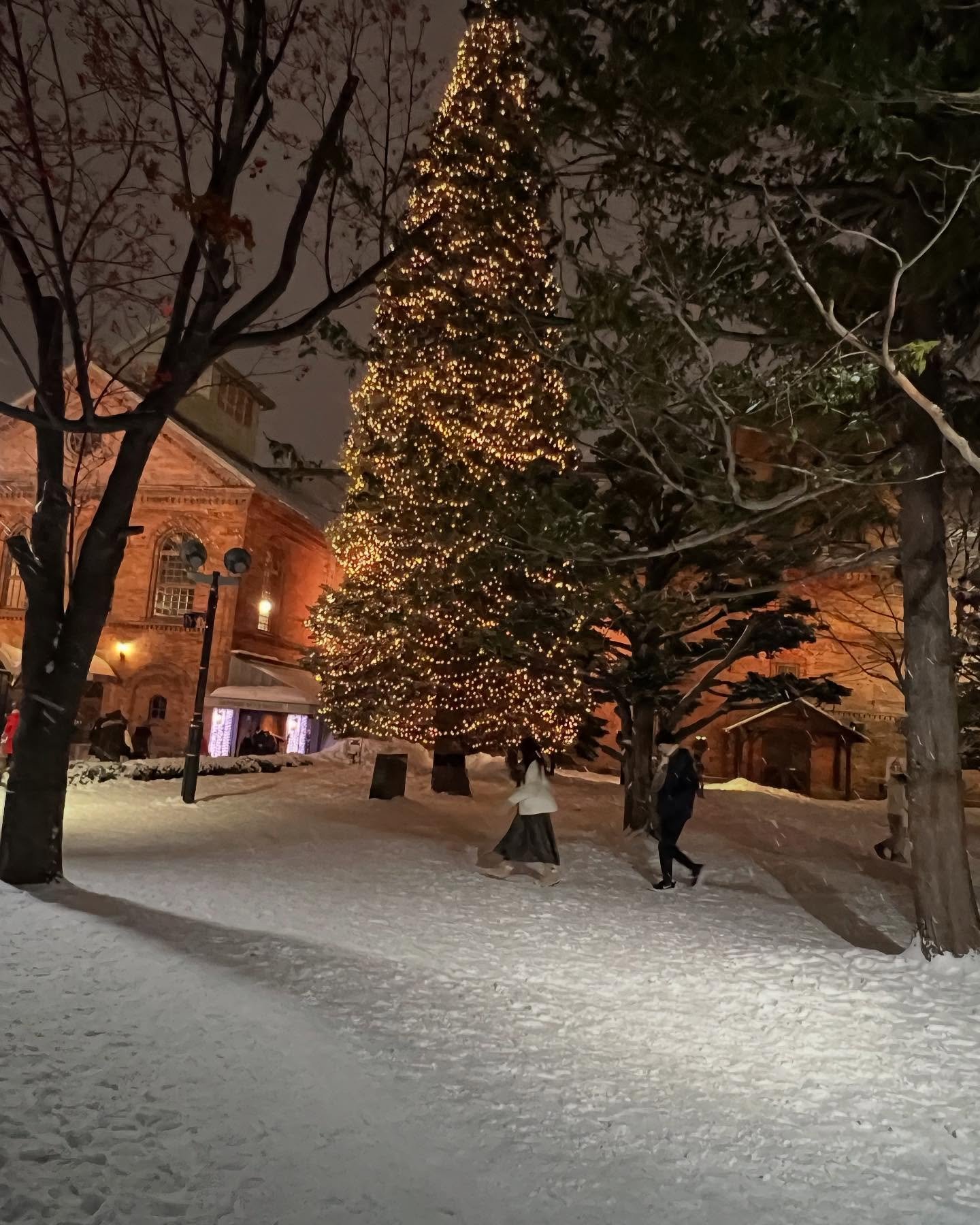 Thank you to all our patients and colleagues for an amazing year. We know holidays can be a busy time so we hope everyone had a wonderful and restful holiday period.

We are back in the office ourselves from this week and are welcoming 2025 with a sm