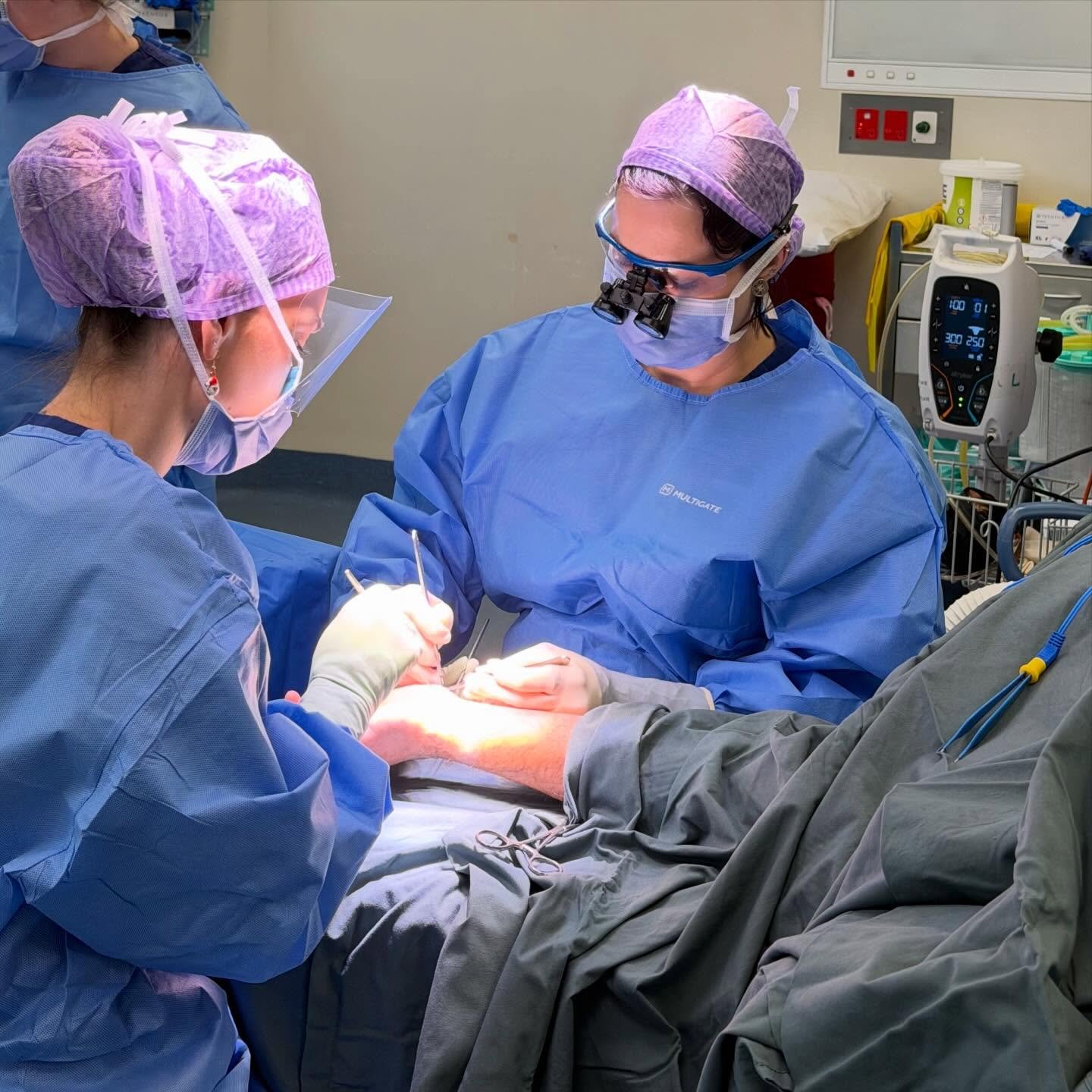 A closer look at the work behind the results with Dr Webster. 
Skill, focus &amp; attention to detail