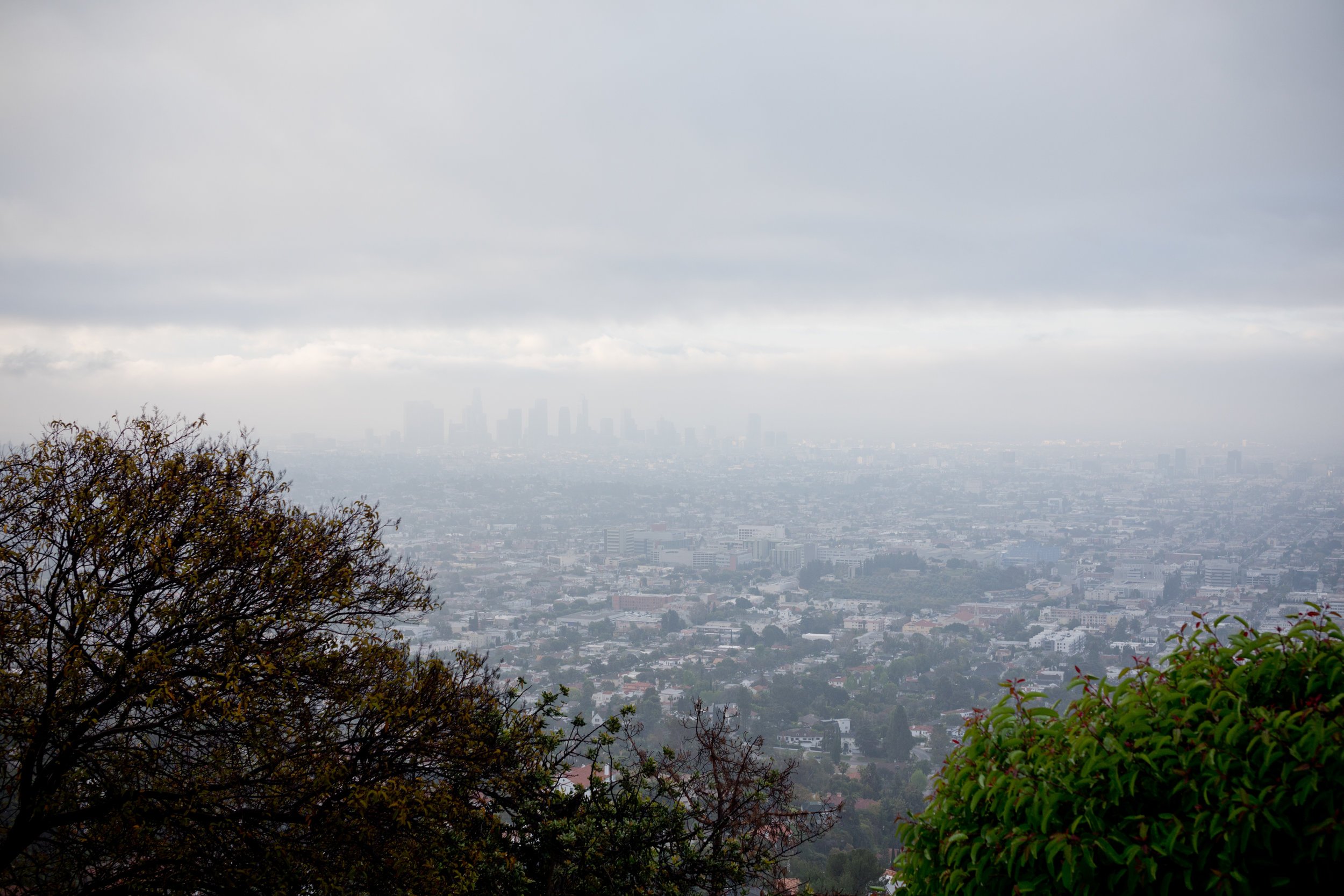 Landscape photo of Los Angeles