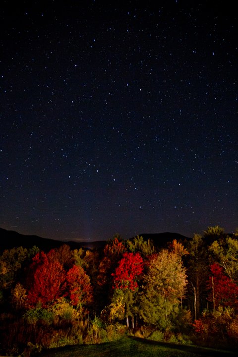 long exposure of the night sky and fall leaves in the Catskills, NY
