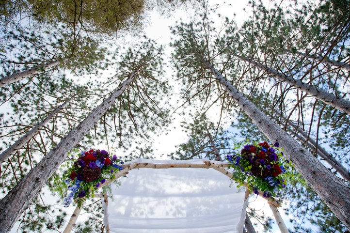 Upward facing photo of the couple's wedding arch surrounded by pine trees in the Catskills