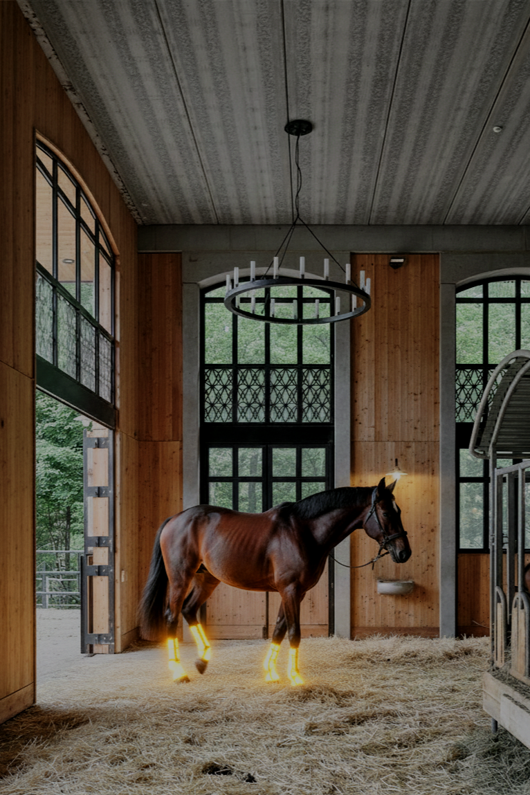 Ein Pferd steht im Stall mit Holz- und Metallwänden, beleuchtet von natürlichem Licht und einer modernen Deckenleuchte, mit besonderen Leuchtstreifen an den Beinen des Pferdes.