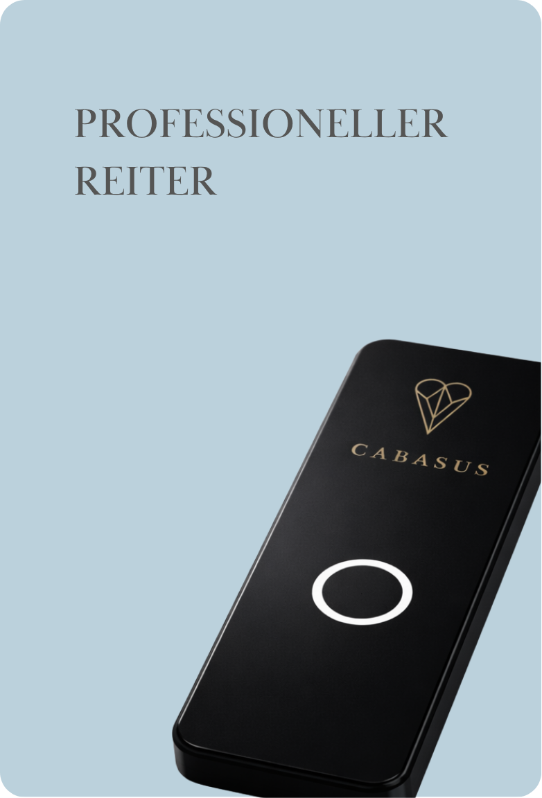 Professioneller Reiter