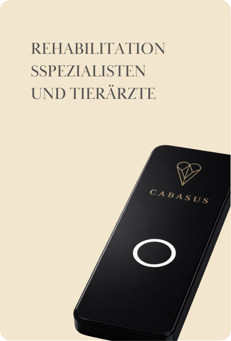 Rehabilitationsspezialisten und Tierärzte