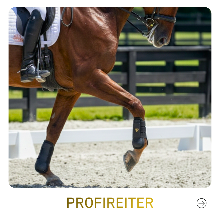 Nahaufnahme eines Pferdes mit Sattel und Beinschutz beim Springreiten auf einem Reitplatz.