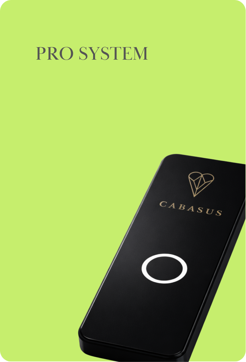 Pro System